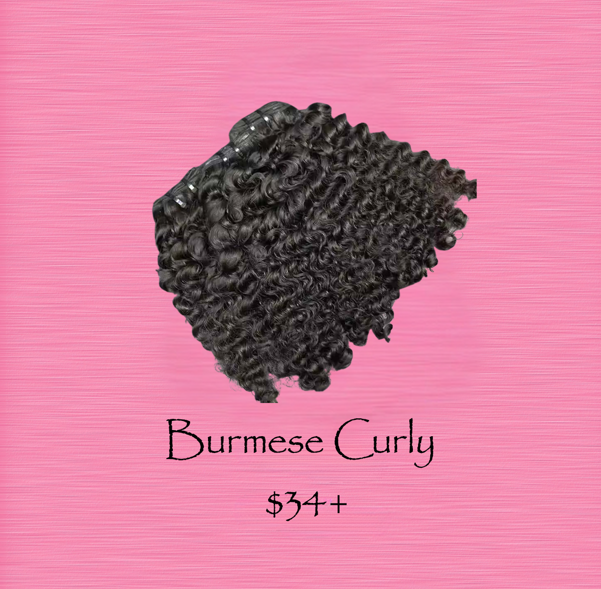 BURMESE CURLY