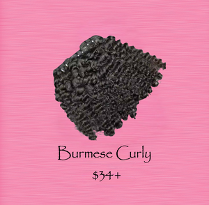 BURMESE CURLY