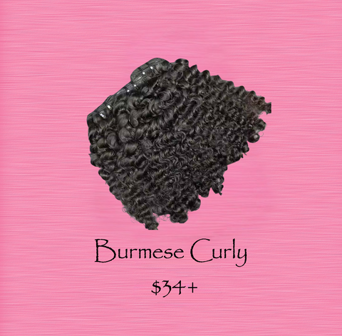 BURMESE CURLY