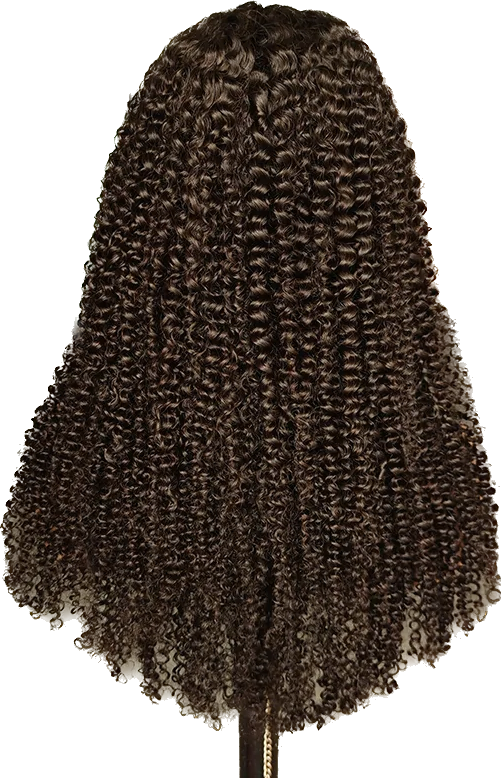 KINKY CURLY CLOSURE WIGS